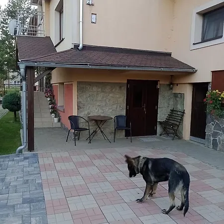 Lägenhet Apartman 139 *